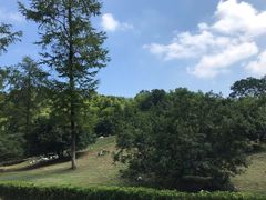 -陶祖圣境风景区