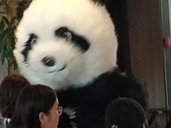 -眉州东坡(博雅店)