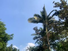 -东莞植物园