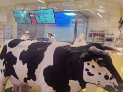 -红星前进面包牛奶公司(君太店)