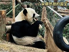 -泉州海丝野生动物世界