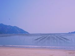 -北岐滩涂