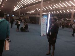 -西沃古尔·拉姆古兰爵士国际机场