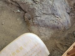 -中国第四纪冰川遗迹陈列馆