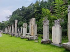 -徐州龟山景区