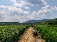 -午潮山国家森林公园
