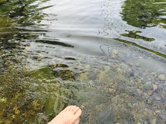 -白云源风景区