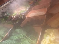 -牛New寿喜烧(金鹰世界店)