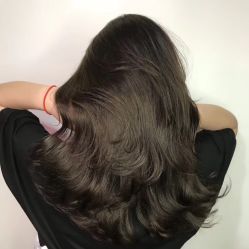 -T8 SALON