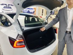 -TESLA 特斯拉(郑州正弘城体验店)