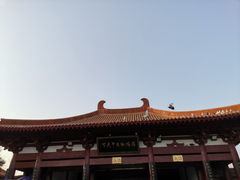 -神州牡丹园