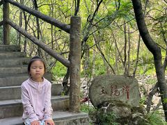 -牛背梁国家森林公园