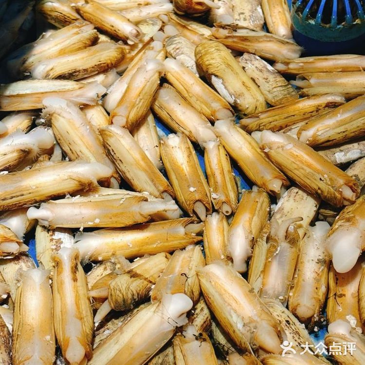 🍢烤串+羊蝎子锅！这家深夜食堂太绝了！