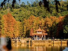 -深圳市中科院仙湖植物园