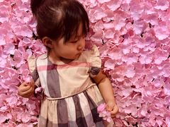 -百好乐宠物友好餐厅(朝外大街店)