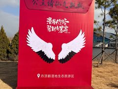 -盐城丹顶鹤湿地生态旅游区