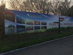 -盐城丹顶鹤湿地生态旅游区