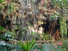 -正佳雨林生态植物园