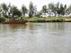 -白渔泡湿地公园