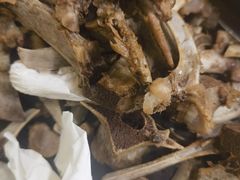 -芦月轩羊蝎子(北蜂窝店)