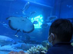 -华夏文旅海洋公园