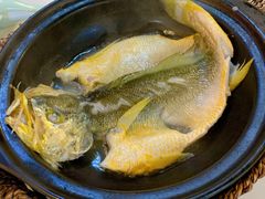 泉水黄花鱼-锦園(伊势丹美食城店)