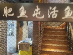 -肥鱼屯活鱼锅(惠工街店)