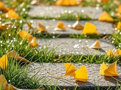 -康熙养生SPA·轻奢足道(江宁万达店)