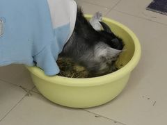 -怪兽屋·羊驼·猫咖·狗咖(俊华广场店)