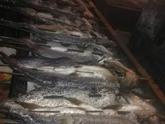 -老街冷水鱼烧烤(河堤夜市店)