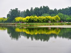 -淇河国家湿地公园