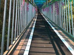 -浏阳石牛寨风景区