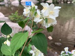 -碓臼峪自然风景区