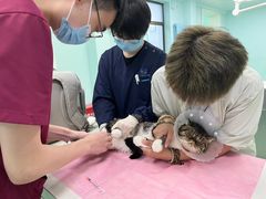 -北京观赏动物医院·24小时大型综合·猫专科·异宠专科