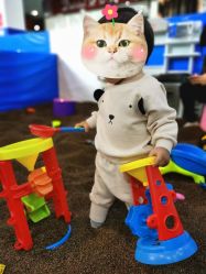 -开心哈乐亲子乐园(东森时尚百货店)