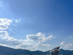 -海埂大坝