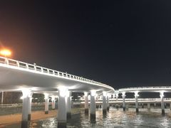 -演武大桥观景平台