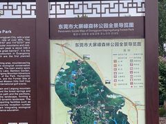 -大屏嶂森林公园