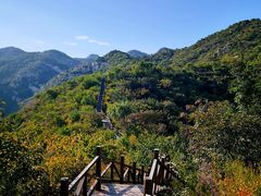 -大岭沟猕猴桃谷风景区