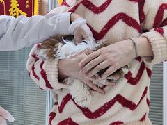 -美美宠物诊疗中心·异宠·骨科(滨江东信分院)