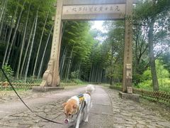 -黄公望隐居地