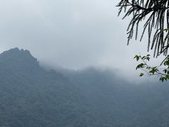 -峨眉山报国寺