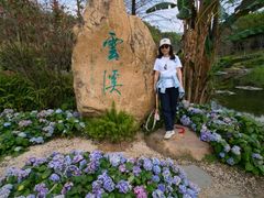 -云溪植物园