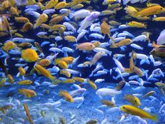 -成都浩海立方海洋公园