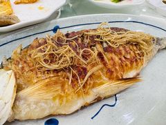-寻味顺德·南记酒家·传统顺德菜·鱼生(广源路店)