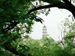 -江心屿景区