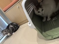 -美迦爱-牙专科·兔科·骨科诊疗中心(北苑店)
