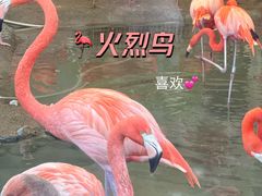 -郑州市动物园