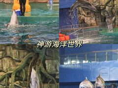 -威海华夏城景区