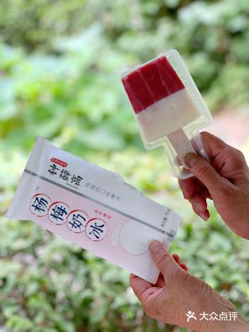 -一口入魂 钟薛高 绝对是夏天yyds，我以有它为荣！